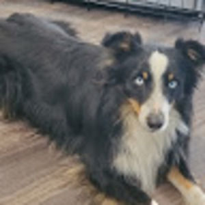 Meet your Posher, Candy lynn